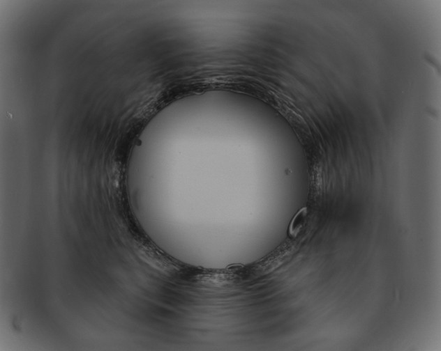 X0000091530567200709071043