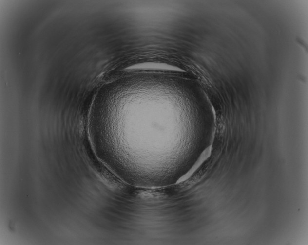 X0000091530568200709071043