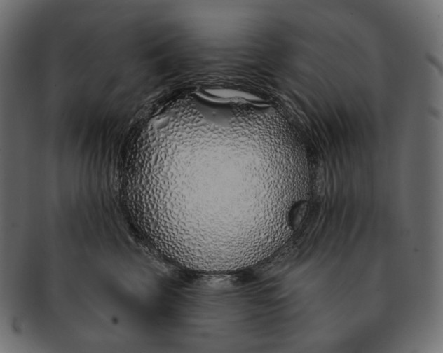 X0000091530569200709071043
