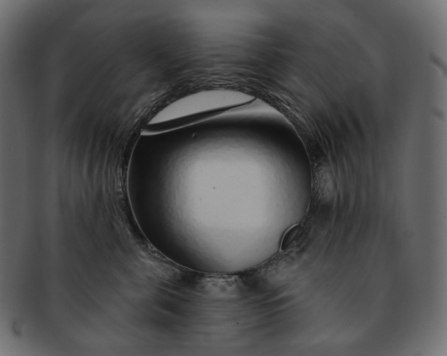 X0000091530571200709071043
