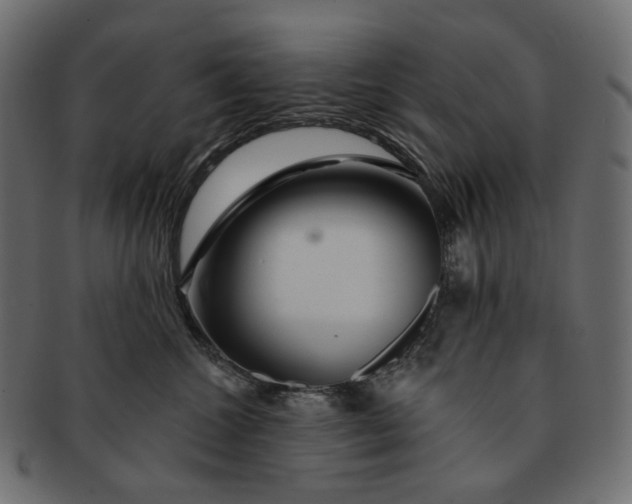 X0000091530572200709071043