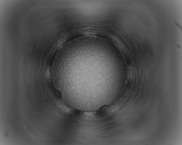 X0000091530573200709071043
