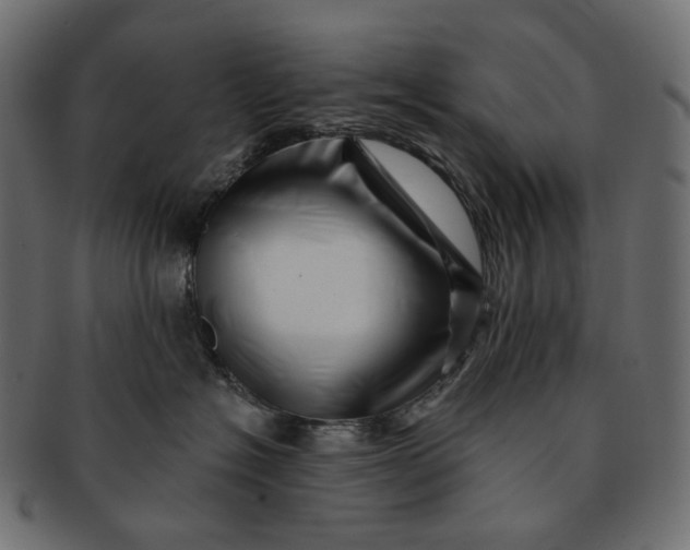 X0000091530574200709071043