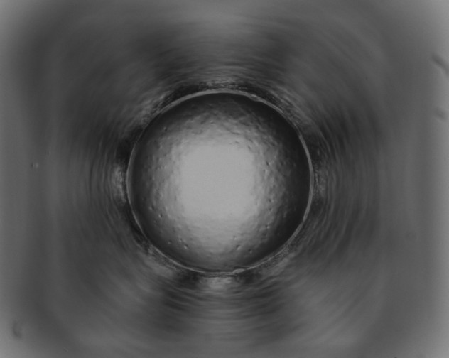 X0000091530575200709071043