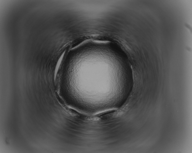 X0000091530576200709071043