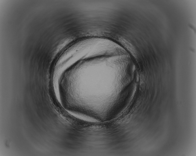 X0000091530578200709071042