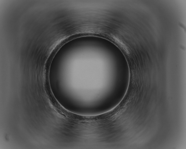 X0000091530580200709071042
