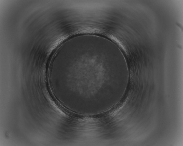 X0000091530581200709071042