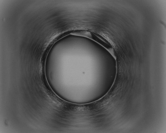 X0000091530584200709071042