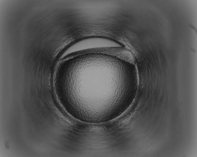 X0000091530585200709071042