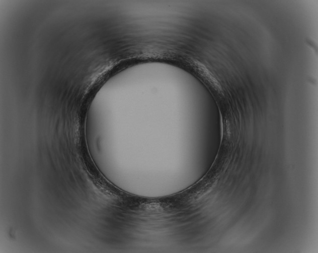 X0000091530588200709071042