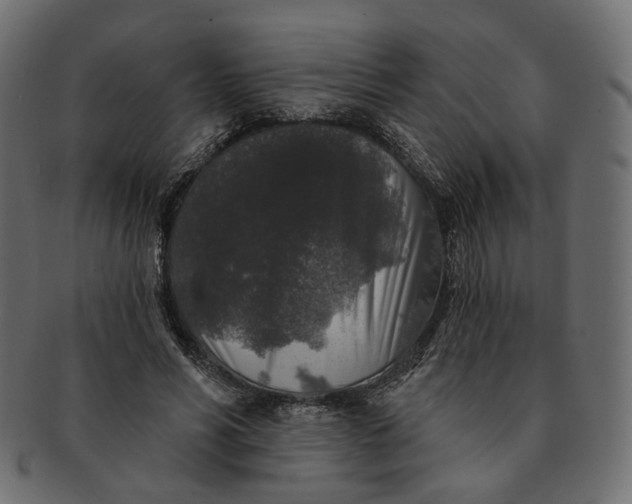 X0000091530590200709071042