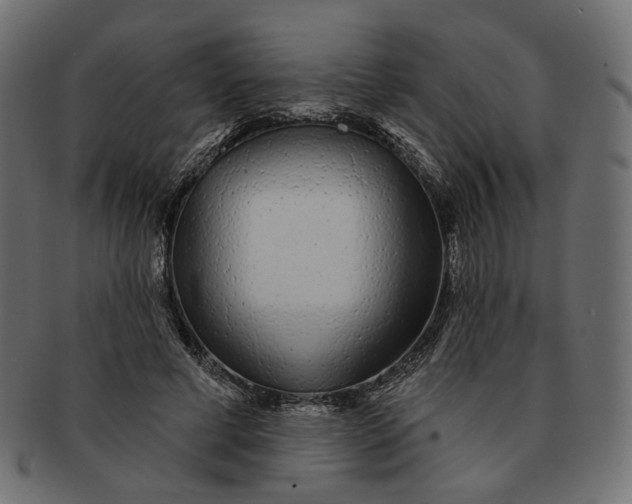 X0000091530593200709071042