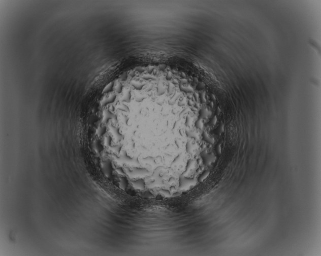 X0000091530594200709071042