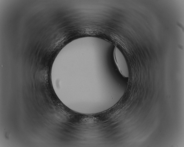 X0000091530595200709071042