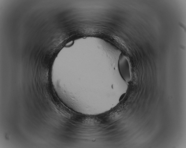 X0000091530596200709071042