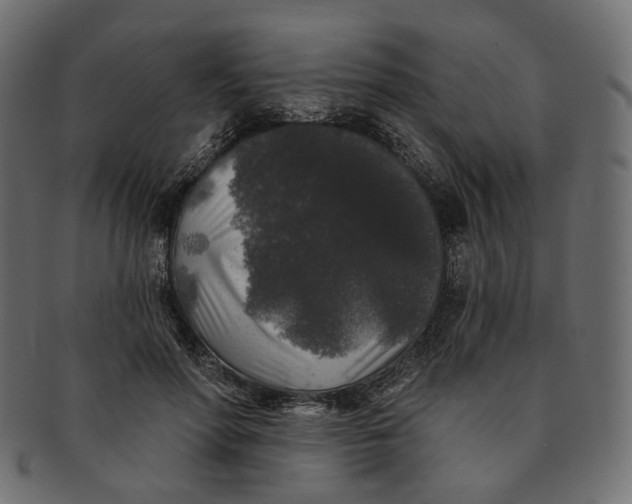 X0000091530598200709071042