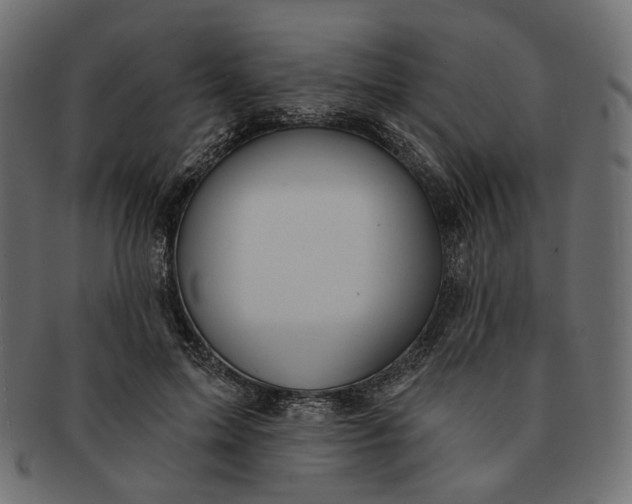 X0000091530599200709071042