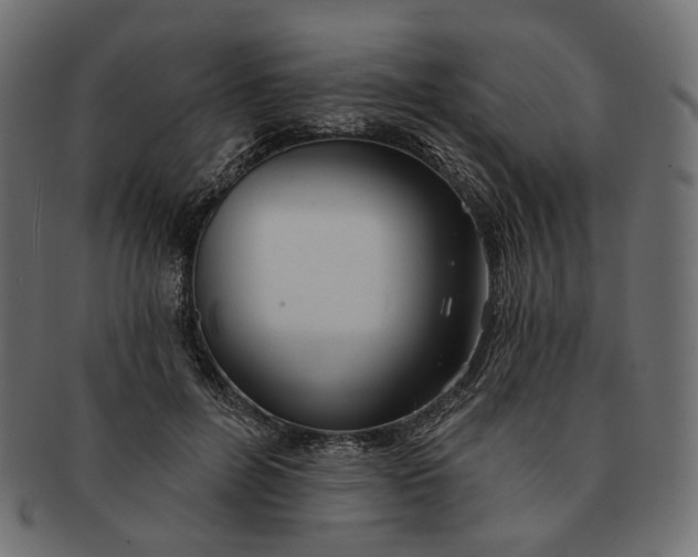 X0000091530600200709071042