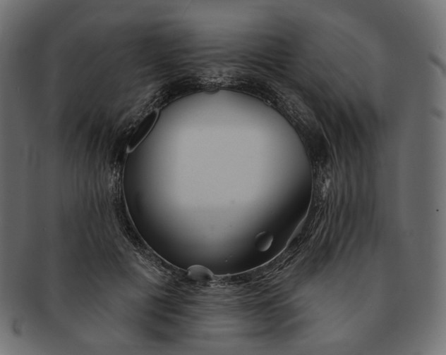 X0000091530601200709071042