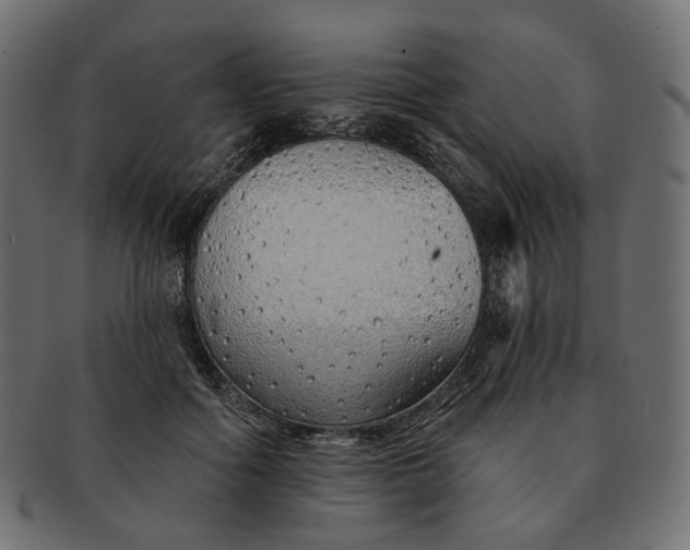 X0000091530602200709071042