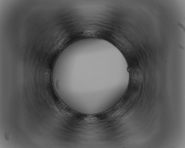 X0000091530603200709071042