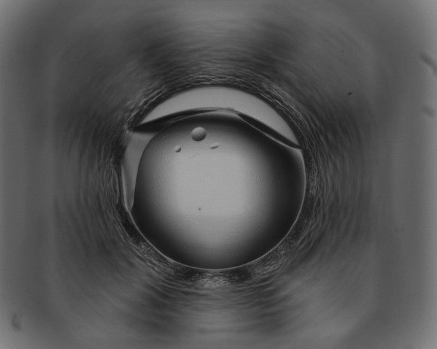X0000091530604200709071042