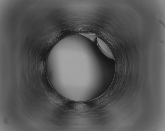 X0000091530605200709071042