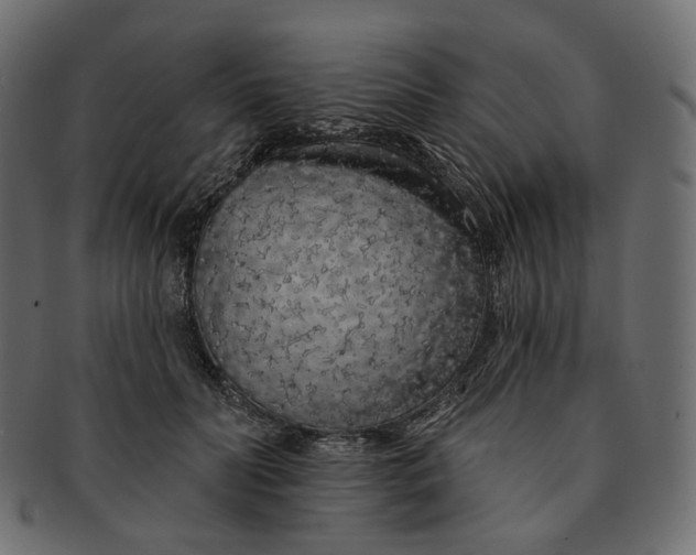X0000091530606200709071042