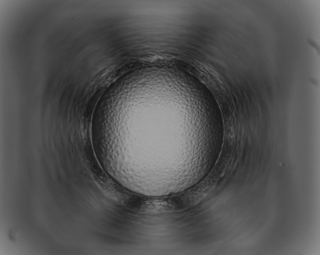 X0000091530607200709071042