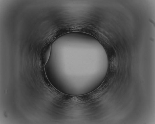 X0000091530608200709071042