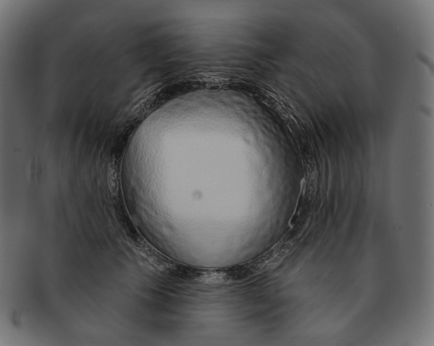 X0000091530609200709071042
