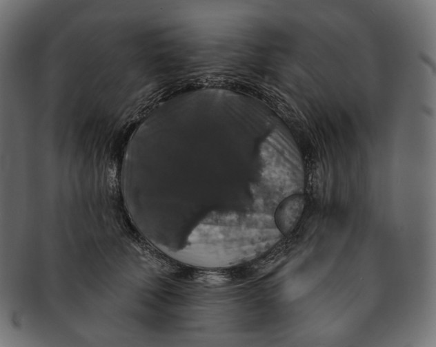 X0000091530610200709071042