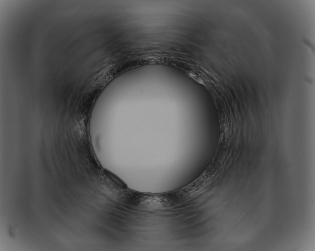 X0000091530611200709071042