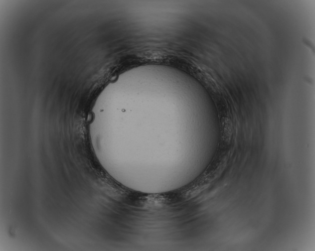 X0000091530612200709071042