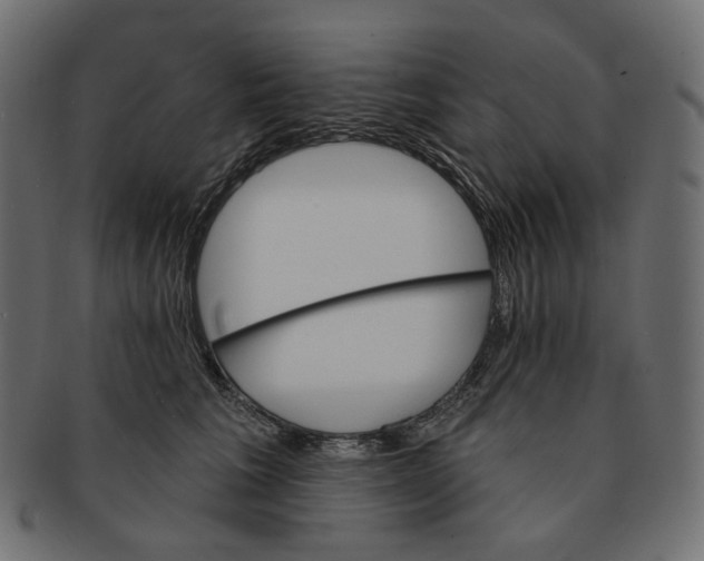X0000091530613200709071042