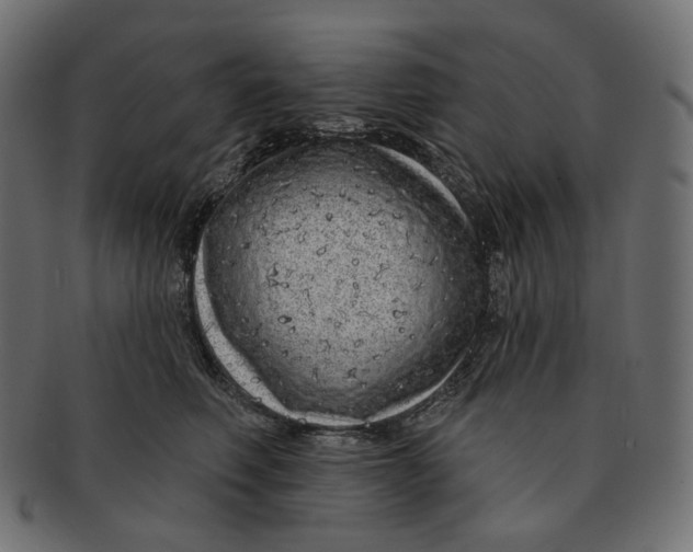 X0000091530614200709071042