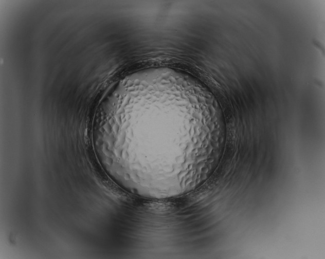 X0000091530615200709071042