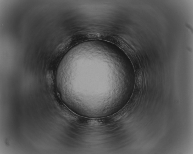 X0000091530616200709071042