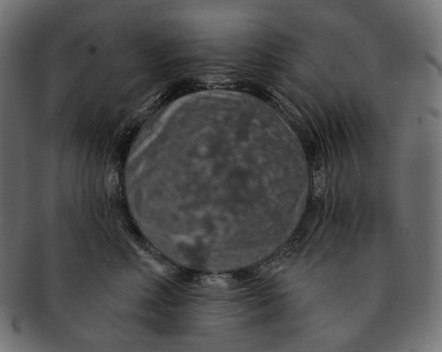 X0000091530618200709071042