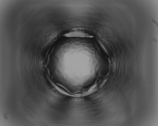 X0000091530619200709071042