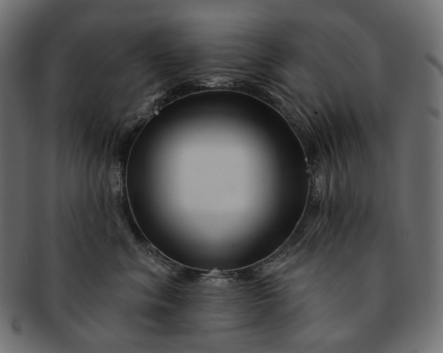 X0000091530620200709071042