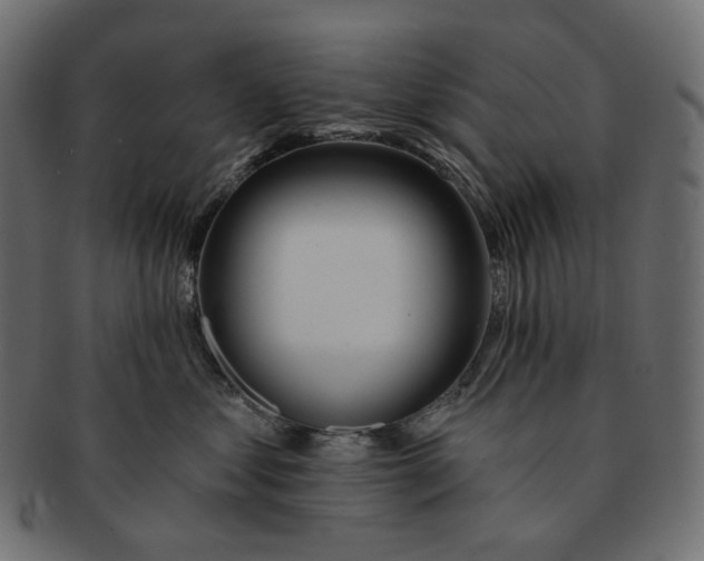 X0000091530621200709071042