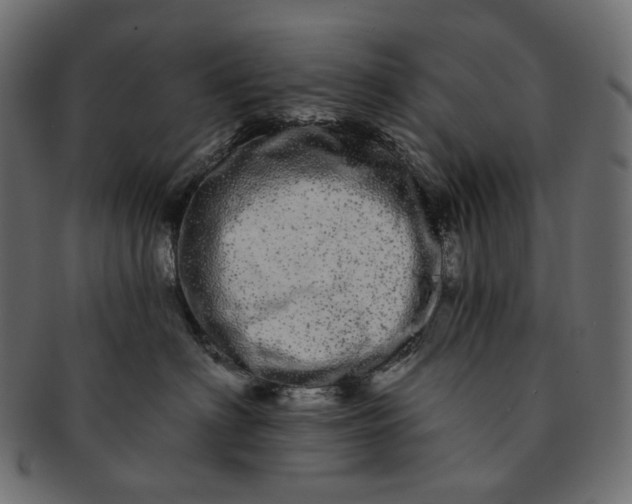 X0000091530622200709071042