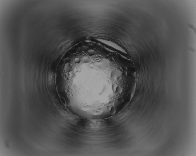 X0000091530623200709071042