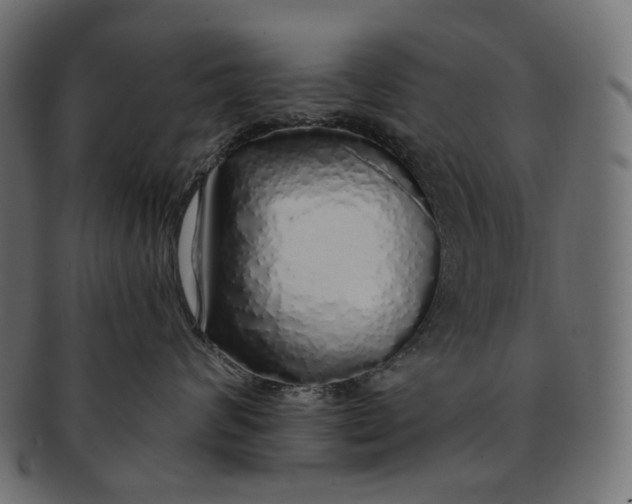 X0000091530624200709071042