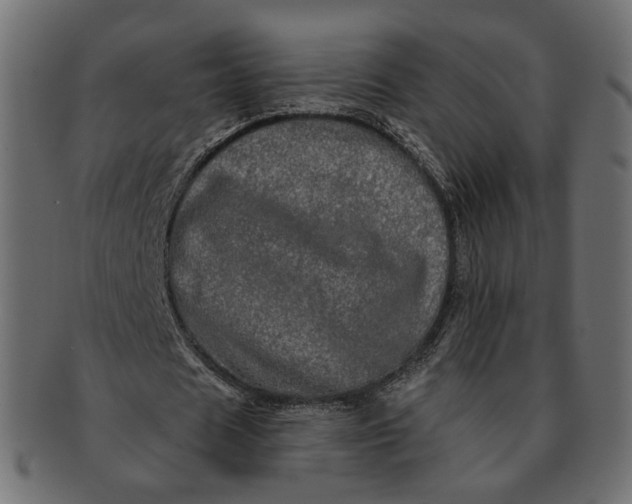X0000091530625200709071041
