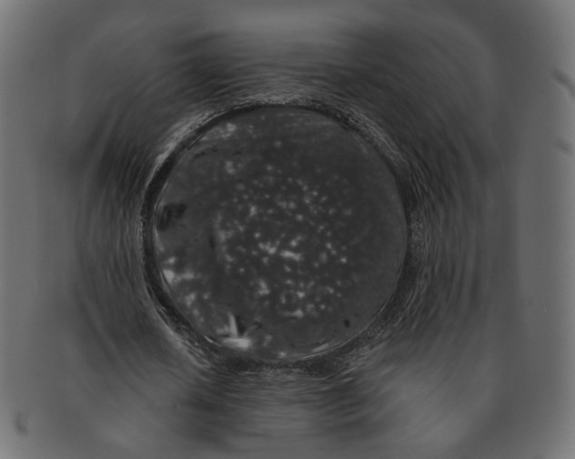 X0000091530626200709071041