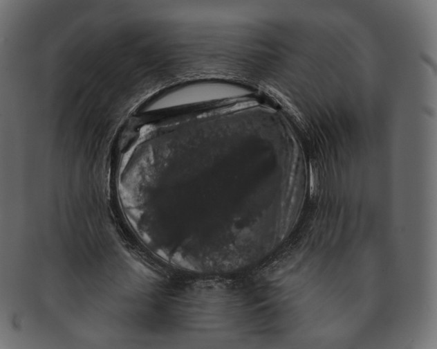 X0000091530627200709071041