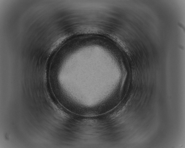 X0000091530629200709071041